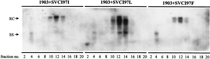 FIG. 6