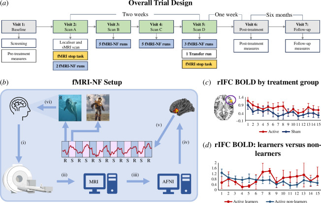 The Overall Trial Design, fMRI-NF Setup and rIFC Activation Across Runs