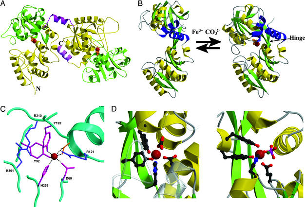 Fig 1.