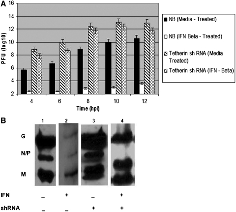 FIG. 4.