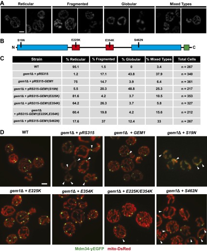 Figure 2—figure supplement 2.