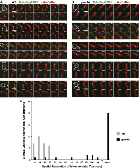 Figure 2—figure supplement 1.