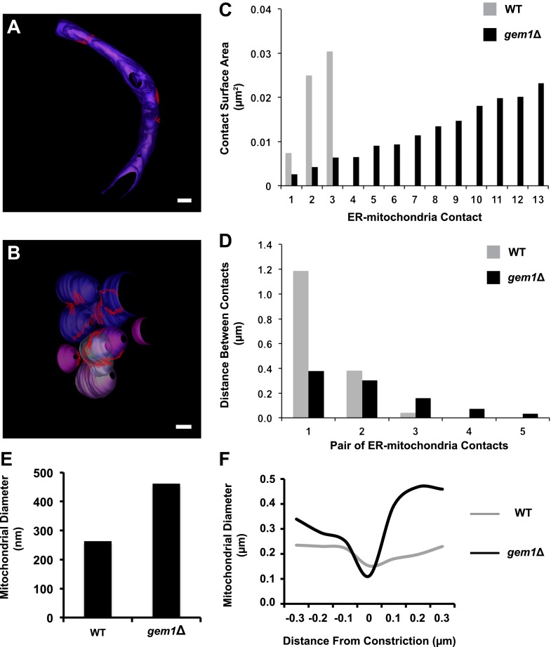 Figure 3—figure supplement 1.