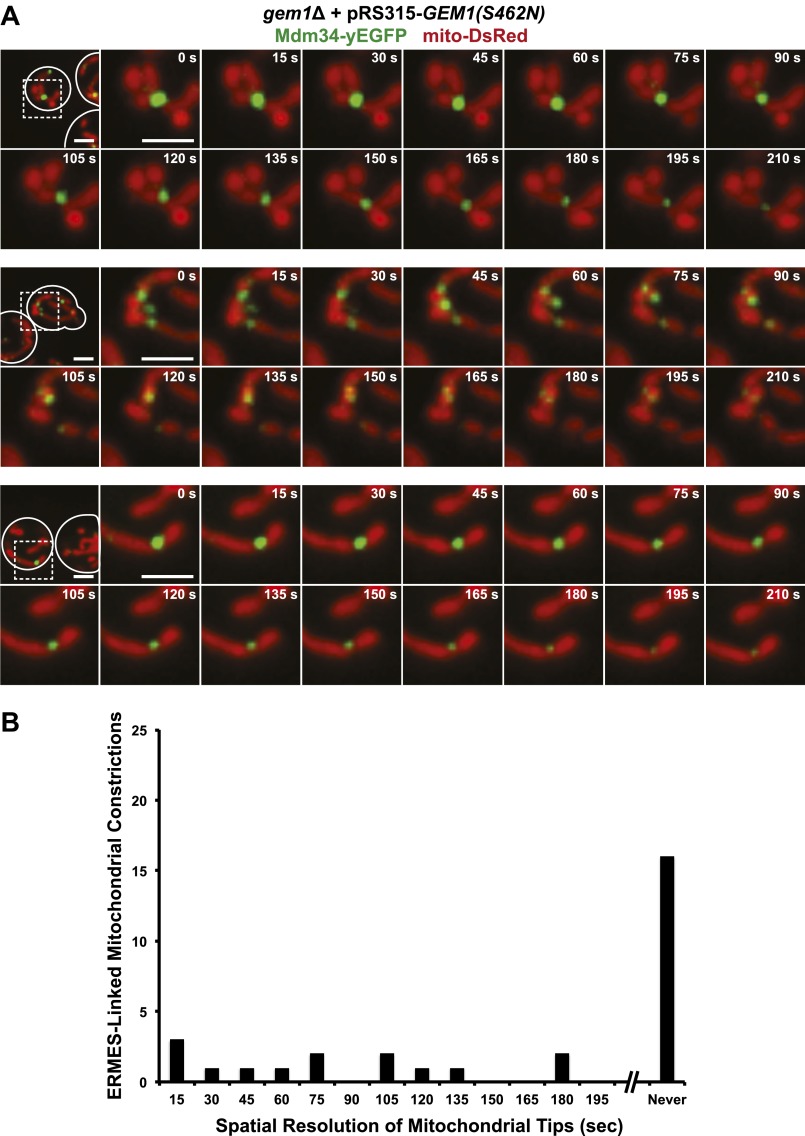 Figure 2—figure supplement 3.