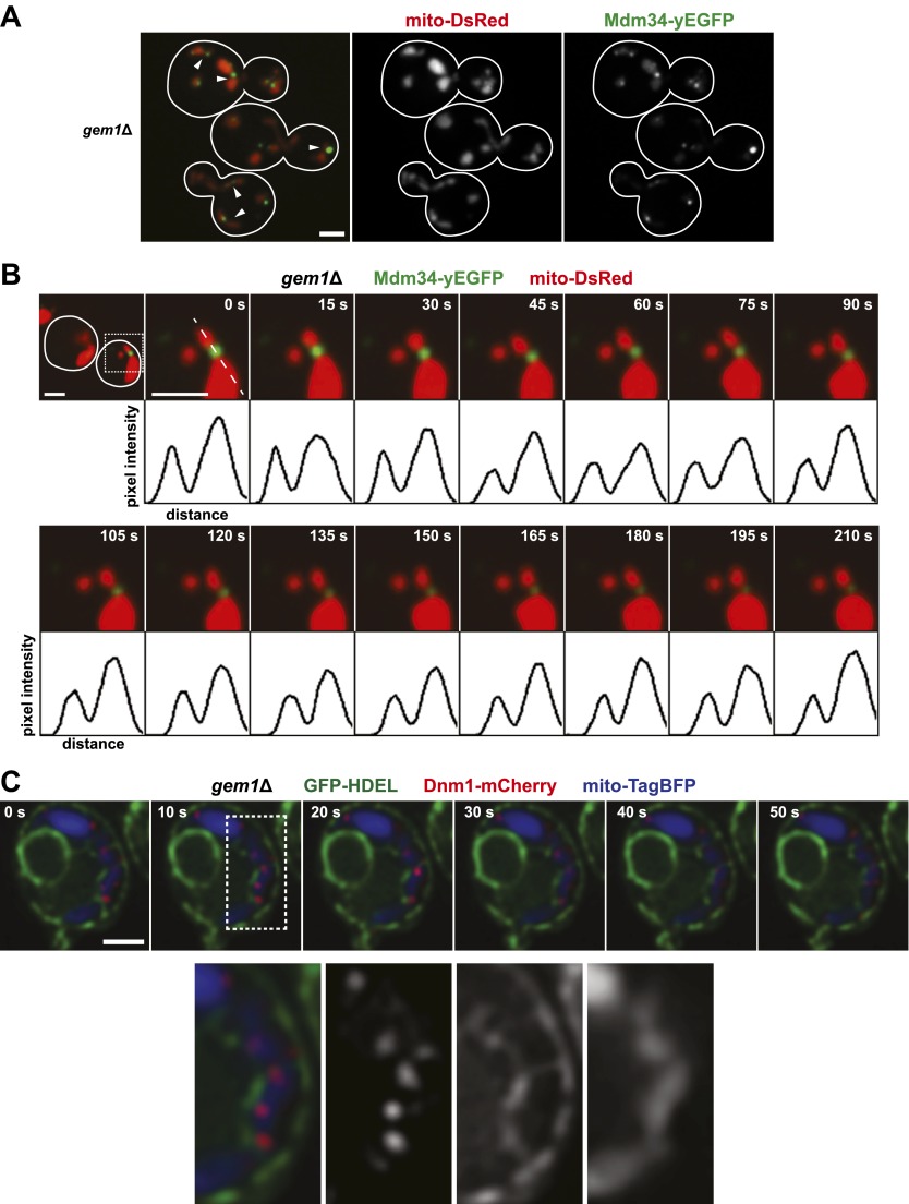 Figure 2.