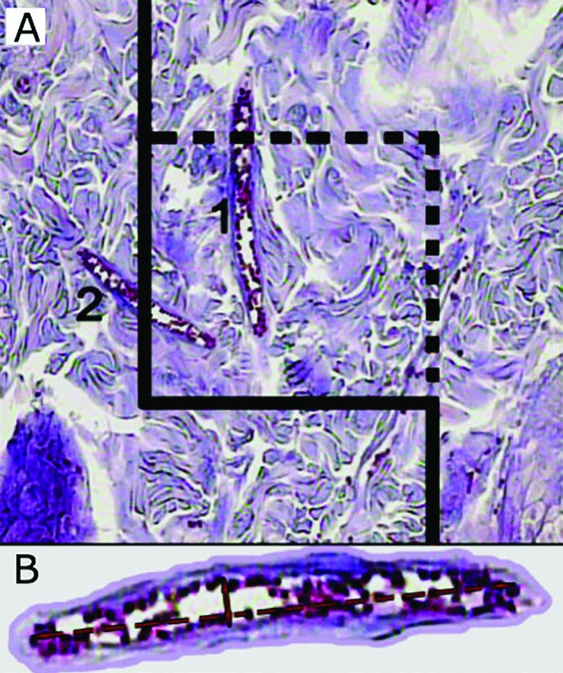 Fig. 3