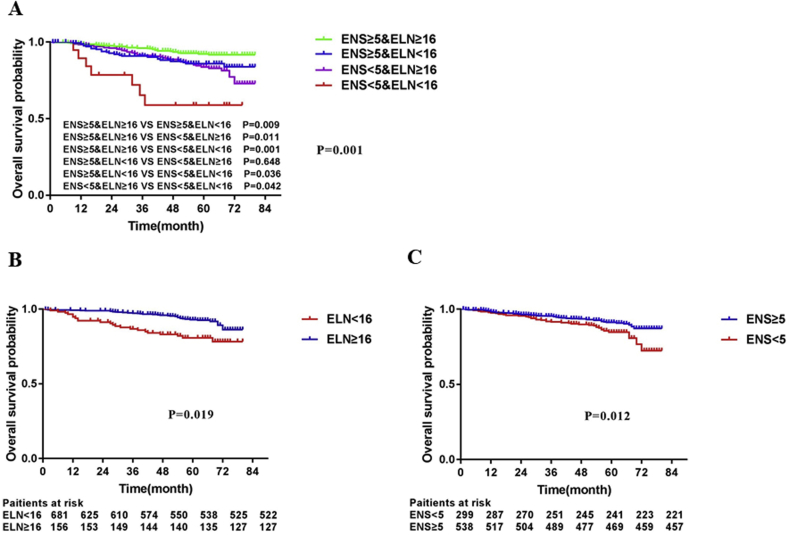 Supplementary Figure 8