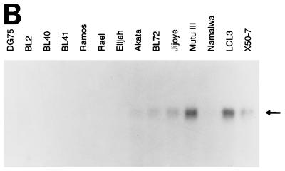 FIG. 6