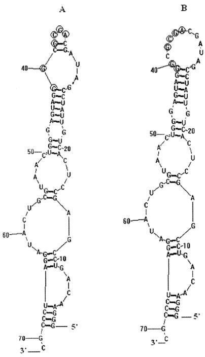 FIG. 4.