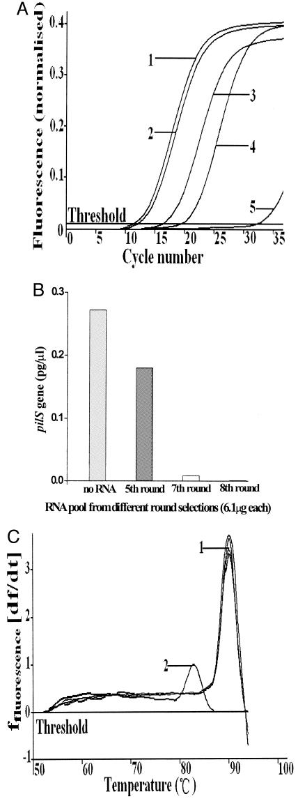 FIG. 5.