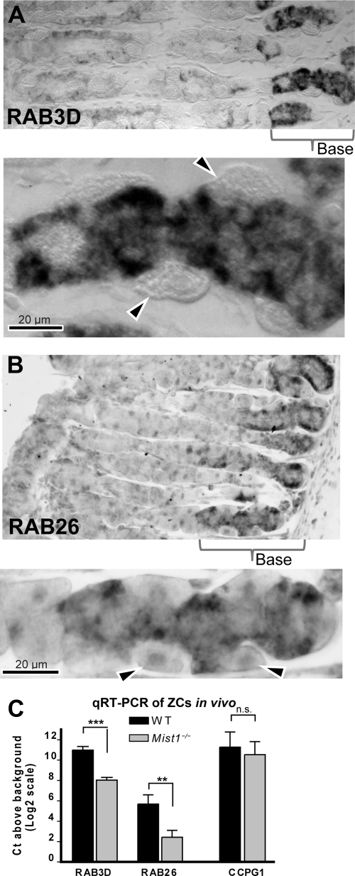 FIG. 5.