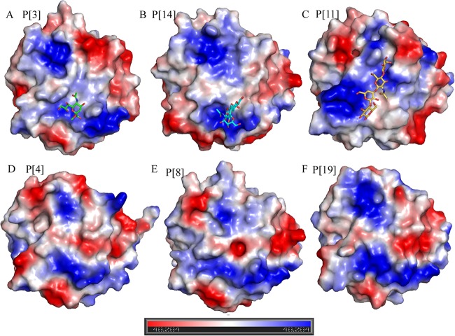 FIG 6