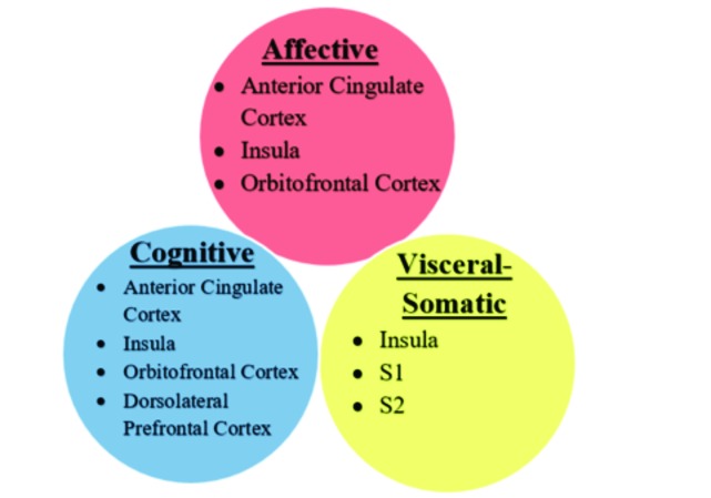 FIGURE 1.