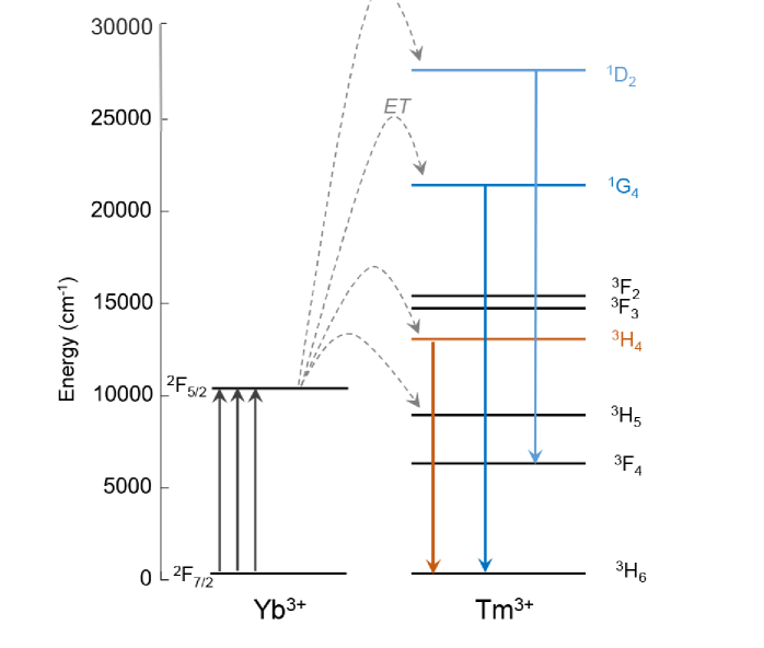 Fig. 1