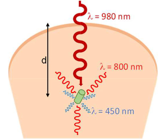 Fig. 8