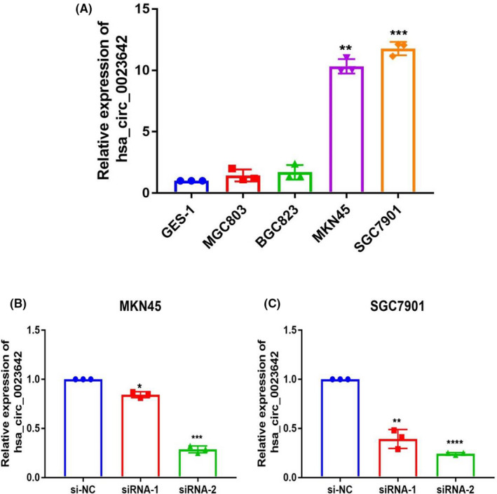 FIGURE 3