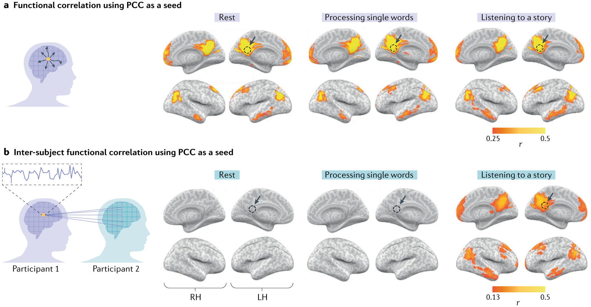 Fig. 3 |