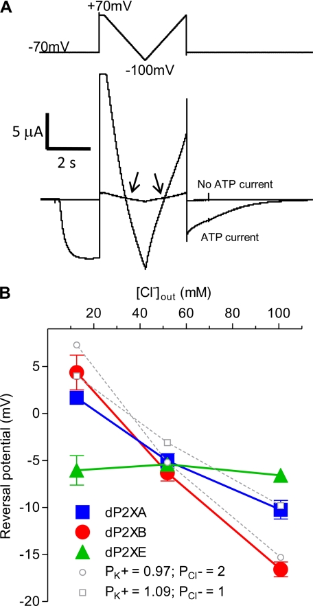 FIGURE 4.