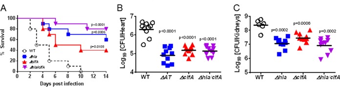 FIG 1 