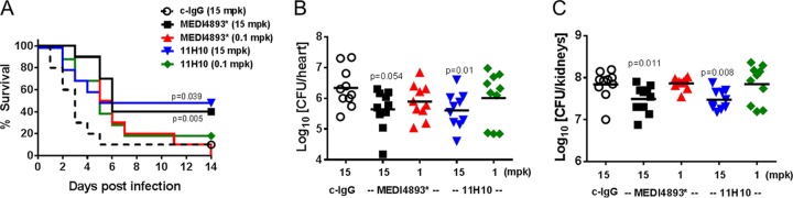 FIG 3 