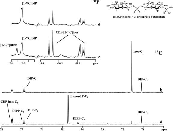 FIG. 3.