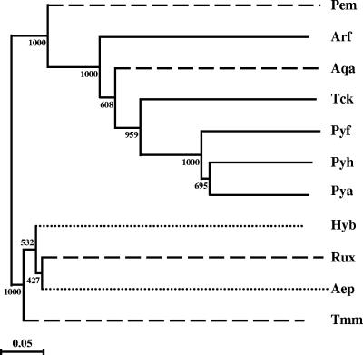 FIG. 6.