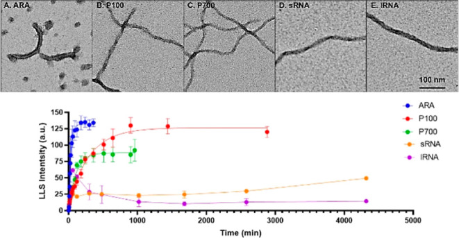 graphic file with name bi2c00111_0013.jpg