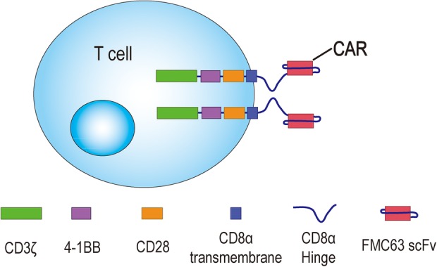 Figure 2