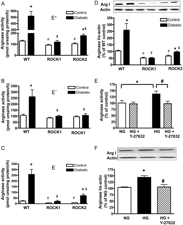 Figure 6