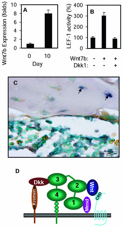 FIG. 7.