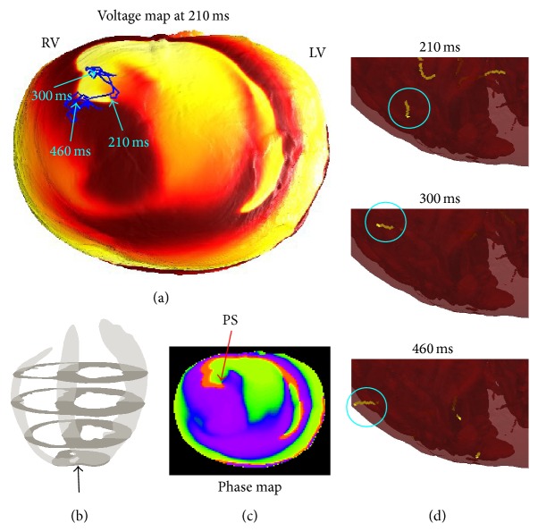 Figure 6