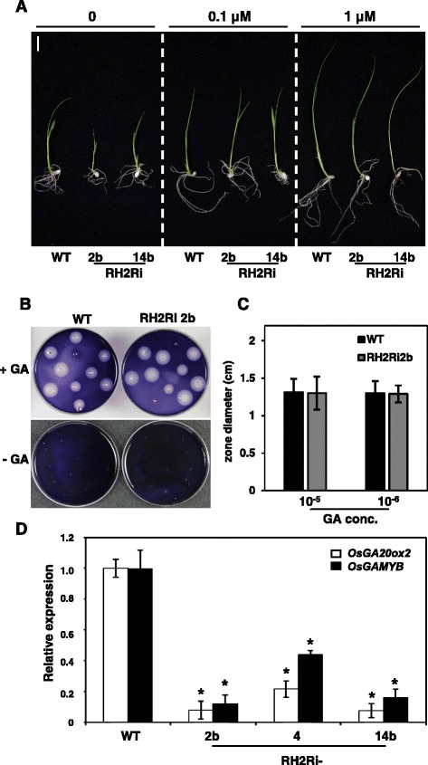 Fig. 9