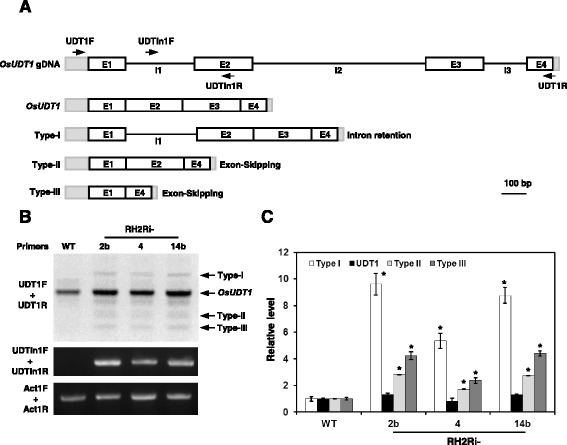 Fig. 10