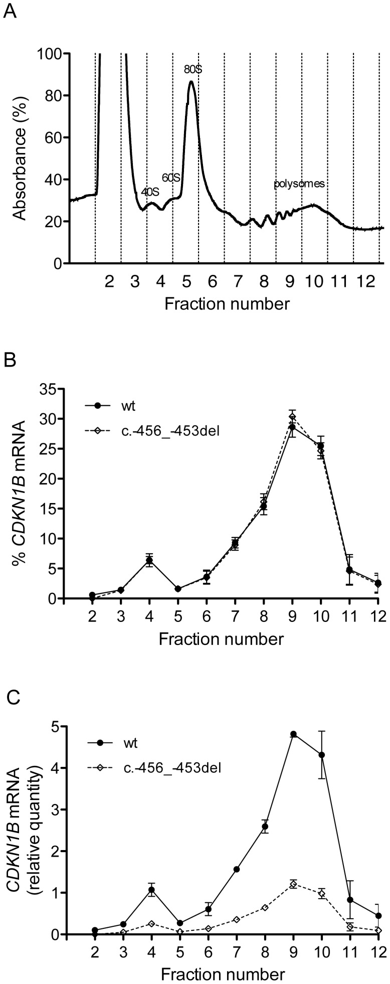 Figure 8