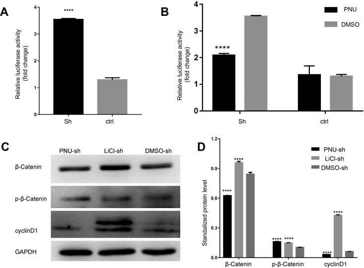 Figure 5