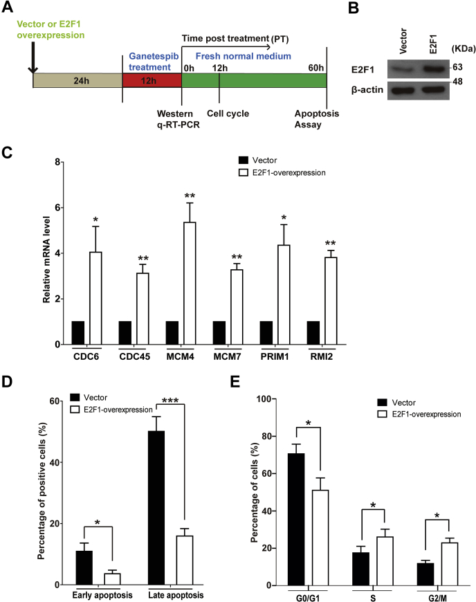 Figure 7