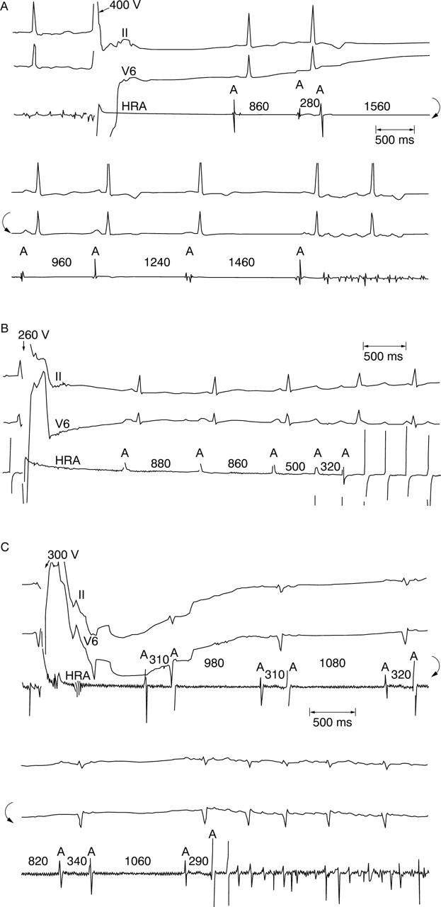 Figure 2  