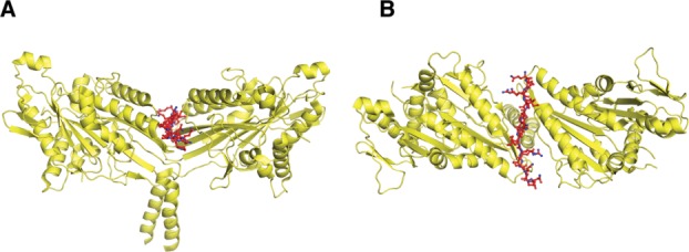 Fig. 2