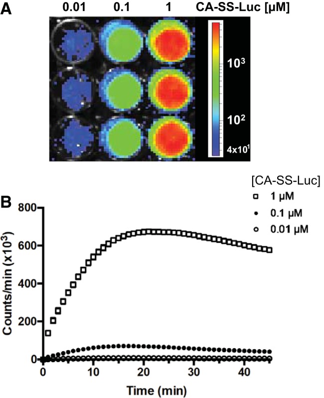 Fig. 3.