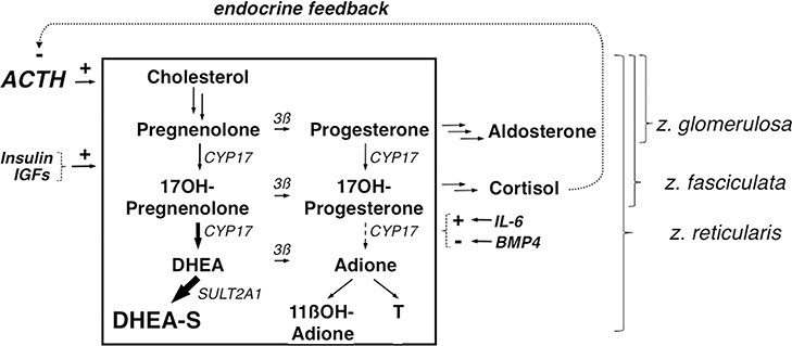 Figure 3.