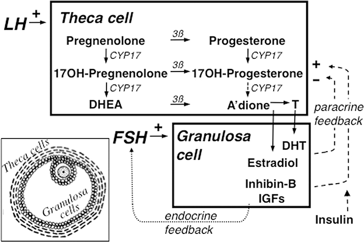 Figure 2.