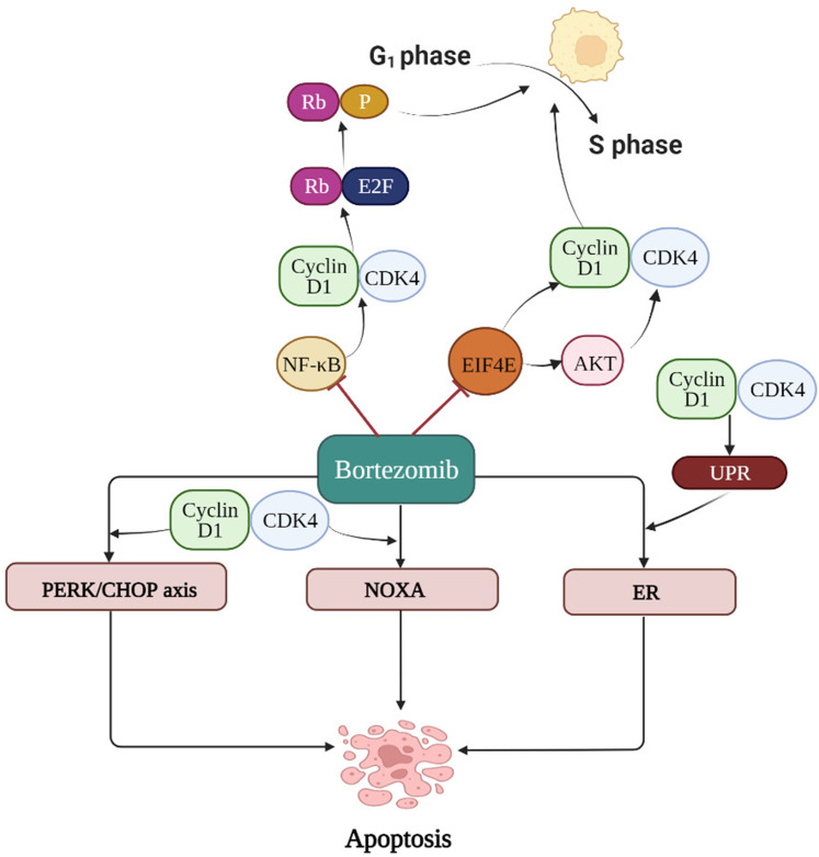 Figure 7.