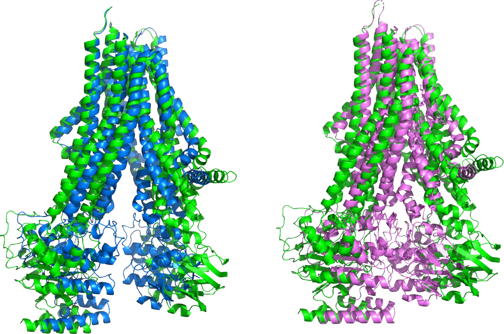 Figure 2: