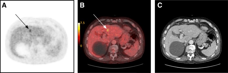 Fig. 3