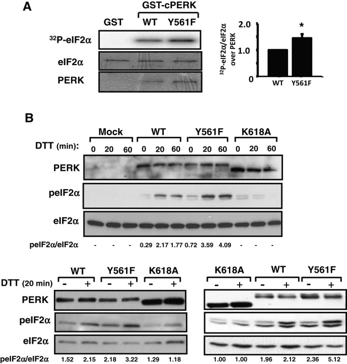 FIGURE 4: