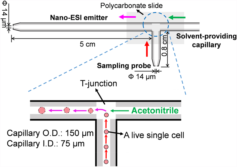 Fig. 2.