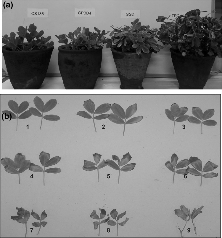 Fig. 1