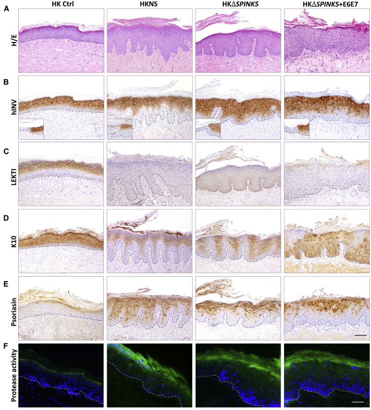 Figure 4