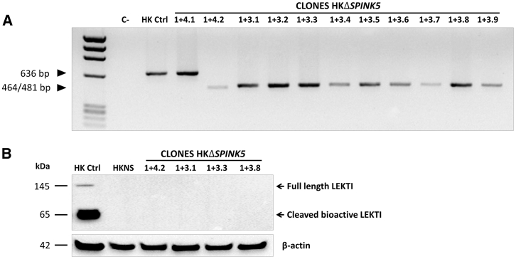 Figure 3