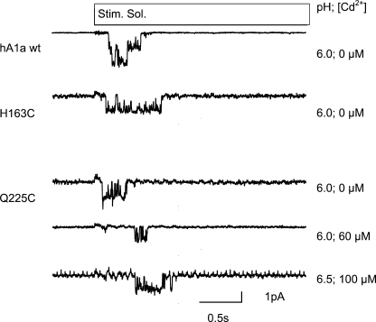 FIGURE 7.